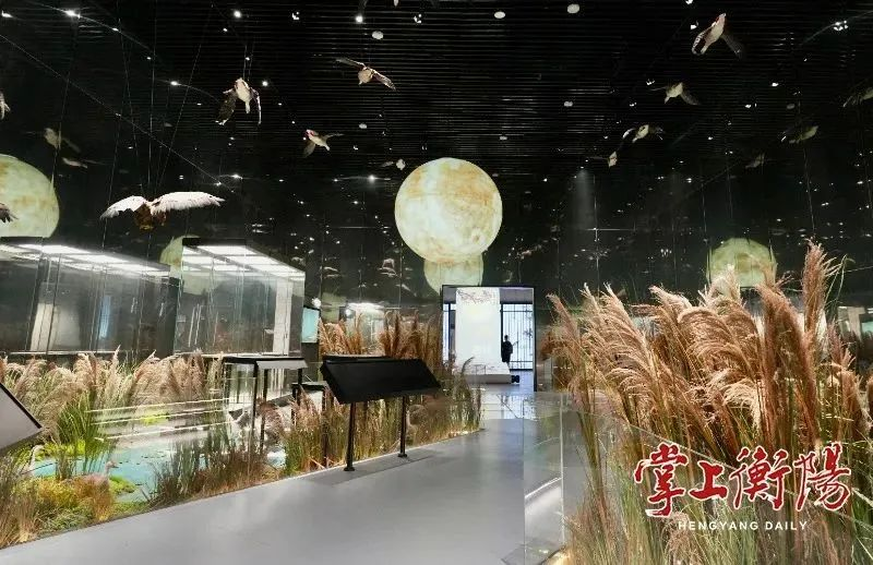 优发国际·随优而动一触即发