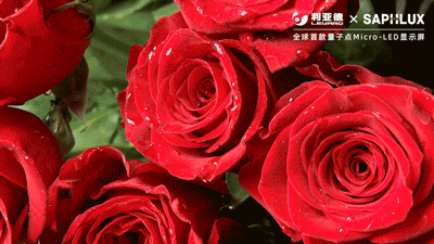 优发国际·随优而动一触即发