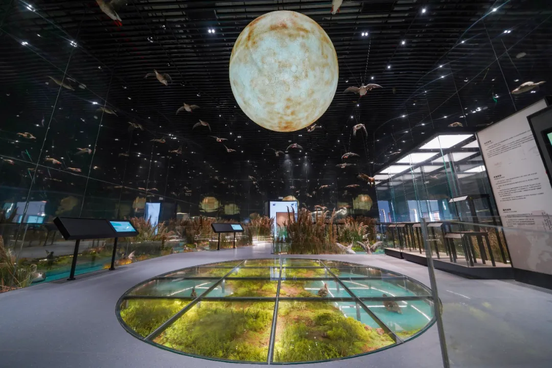 优发国际·随优而动一触即发