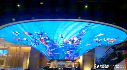 优发国际·随优而动一触即发